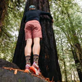 Men's Micro Crew Willoughby Lightweight Hiking Socks (Chestnut) (Large)