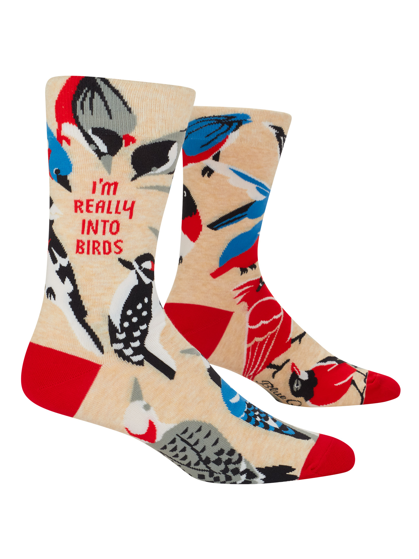 Men's Really Into Birds Crew