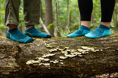 Women's No Show Light Hiker Lightweight Hiking Socks (Cascade)