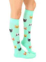 ZZNBB_Cat Compression Knee High